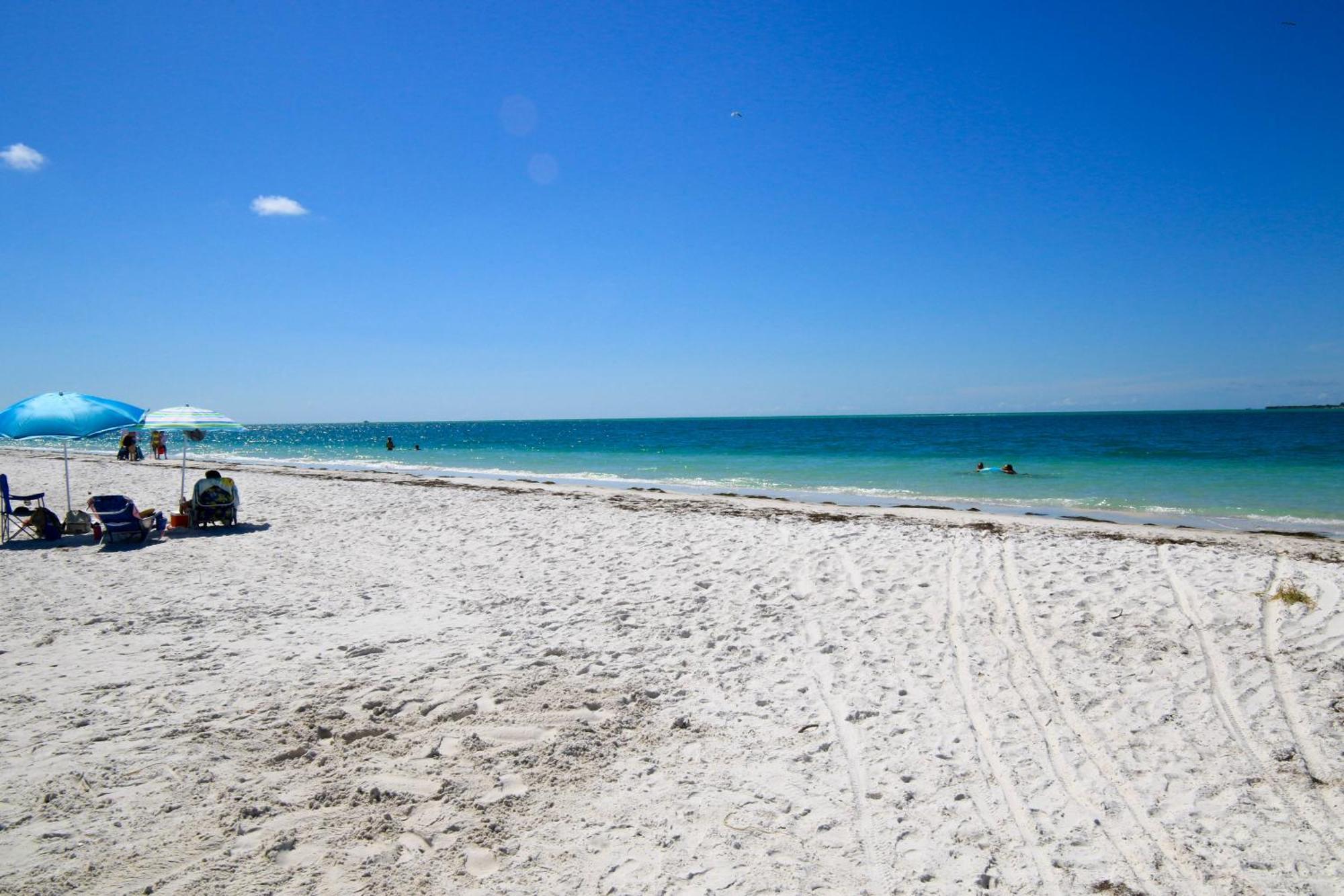 Anna Maria Island Runaway Tropical Dream-One Minute Walk To The Beach-Heated Pool ブレイデントン・ビーチ エクステリア 写真