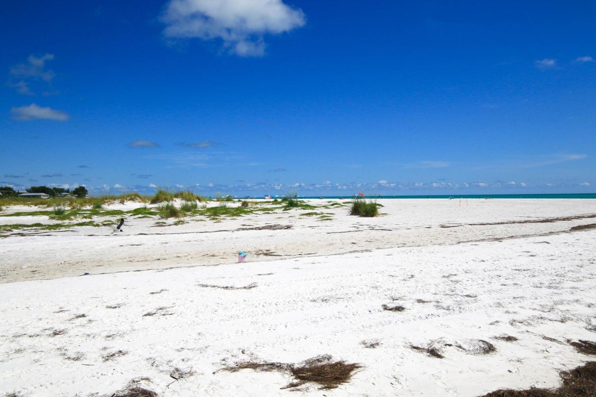 Anna Maria Island Runaway Tropical Dream-One Minute Walk To The Beach-Heated Pool ブレイデントン・ビーチ エクステリア 写真