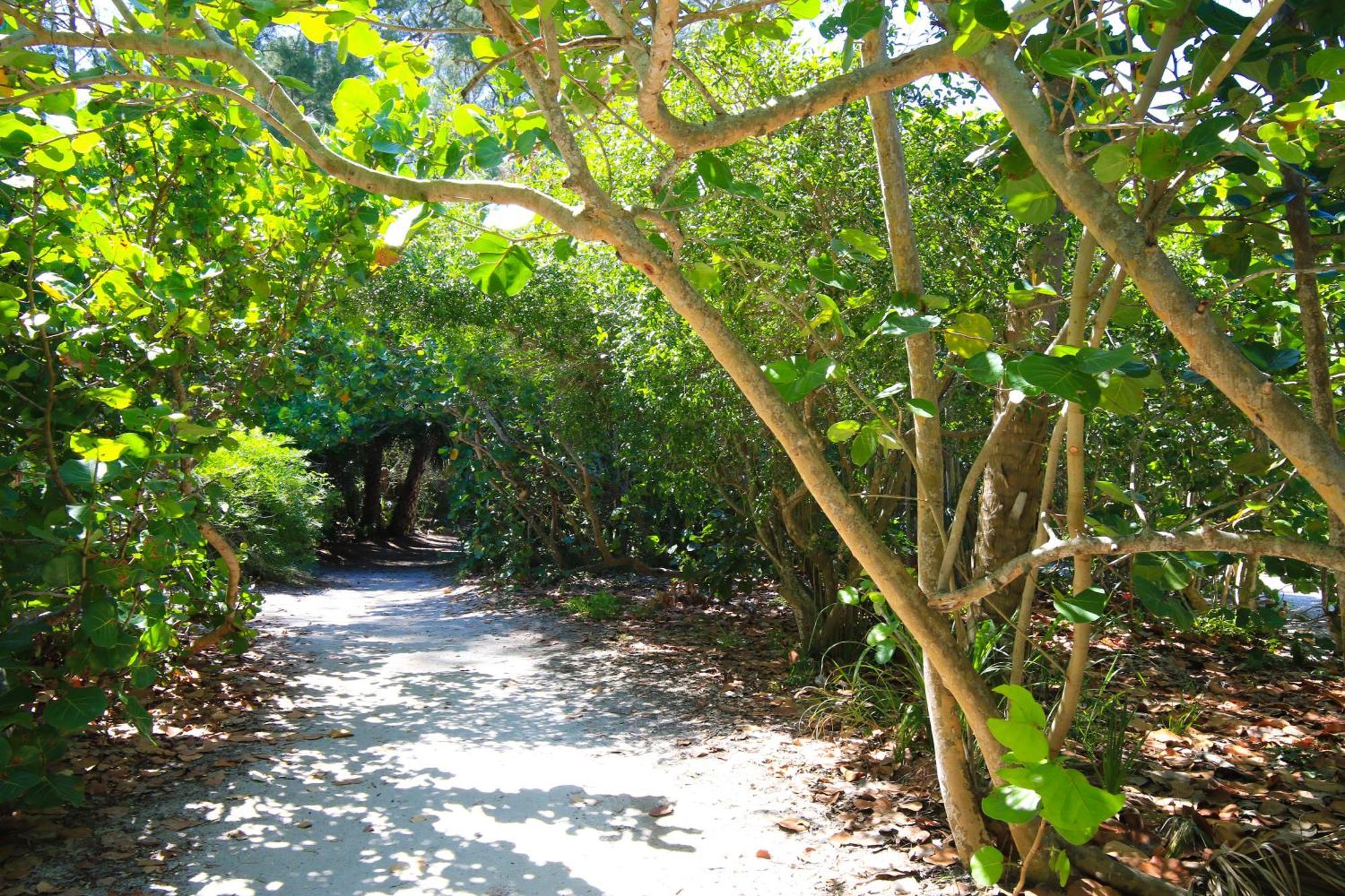 Anna Maria Island Runaway Tropical Dream-One Minute Walk To The Beach-Heated Pool ブレイデントン・ビーチ エクステリア 写真